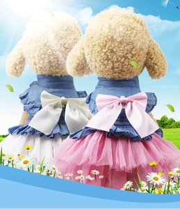 Detail of pet denim dress with layered mesh skirt and silk bow on green grass