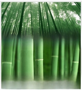 Origin details of bamboo fiber socks from Anji, highlighting climate and soil conditions