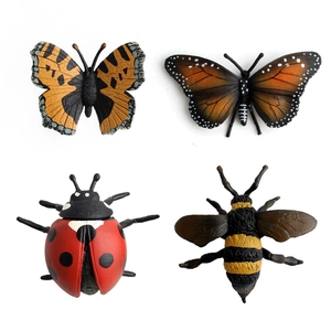 Set di 4 modelli di insetti realistici con farfalla, coccinella e ape per l'educazione