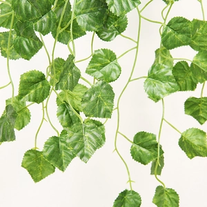 Close-up of artificial green ivy vines with realistic leaf texture on white background