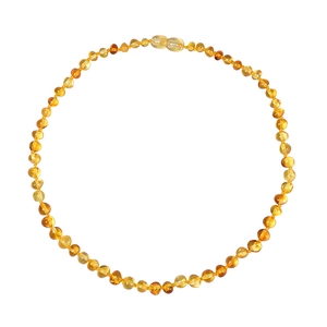 Polished Baltic amber beaded necklace in golden honey tones on white background