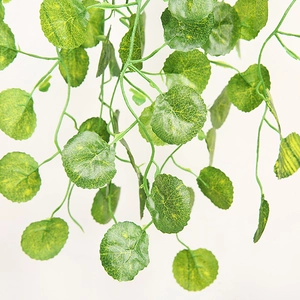 Macro shot of artificial vine leaves with green and yellow textures on white backdrop