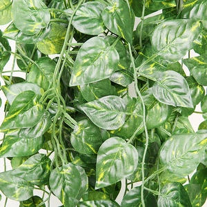 Macro detail of artificial ivy vine with heart-shaped green leaves and yellow texture