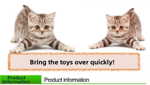 Tabby kittens playing with catnip toys on a white background with clear fur texture