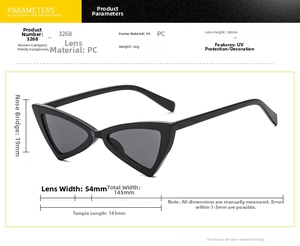Detailed size chart for triangle cat eye sunglasses showing dimensions and PC material info