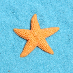 Detailed view of orange resin starfish with realistic texture on blue decorative sand