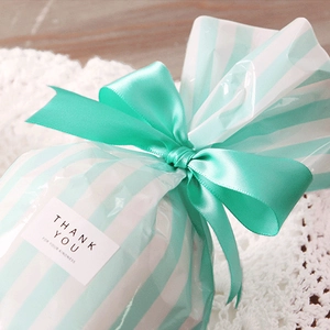 Mint green striped gift bag set with satin ribbon and Thank You sticker decoration