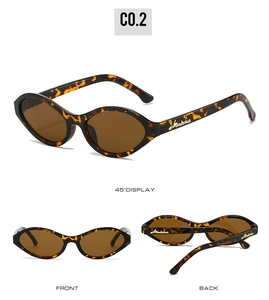 Detail view of tortoiseshell oval sunglasses with gold metal logo on temples