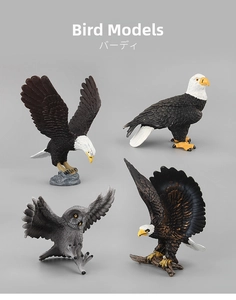 Set of four realistic bird models including bald eagles and owls with detailed feathers