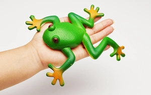 Close-up of green soft rubber frog toy with orange accents and textured skin in hand