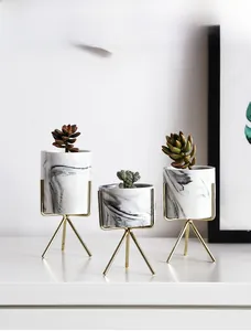Detail view of marble ceramic planters with golden metal stands and succulents