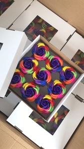 Bulk rainbow soap rose gift boxes with nine colorful flowers in a neat display box