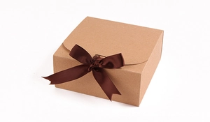 Close-up of a brown kraft paper gift box with a matching silk ribbon bow on white background