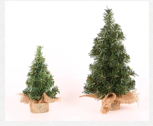 Detail of two mini green Christmas trees with rustic burlap bases on white background
