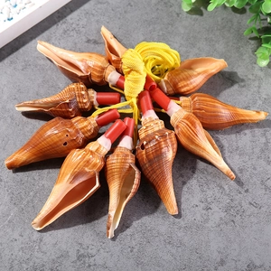 Ten pieces of natural conch shell whistles with brown stripes and red tips on a stone table