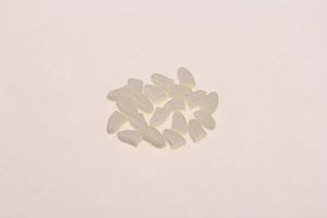 Macro shot of twenty white silicone claw covers for pets scattered on a white background