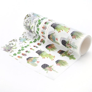 Set of four washi tapes featuring succulent plants and floral hand-drawn illustrations