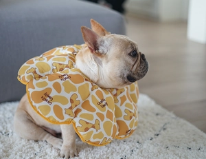 Detail view of sunflower pet collar with giraffe print on a French Bulldog model