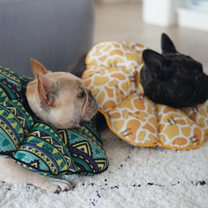 Macro detail of plush protective pet collars with giraffe and wave patterns on French Bulldogs