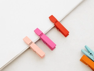 Close-up of colorful mini wooden clips in pink, red, blue and orange on white notebook