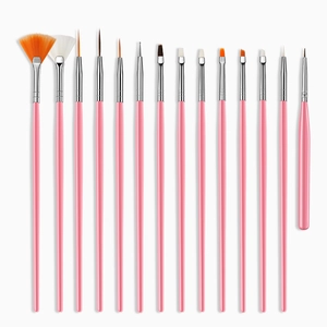 Set of 15 professional pink nail art brushes with various tips on white background
