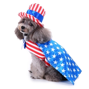Dog patriotic holiday costume featuring star and stripe cape with matching mini top hat