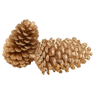 Set of two large golden natural pinecones for forest themed photography and decor