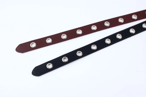 Detail von Punk-Stil PU-Ledergürteln mit silbernen Metallösen in Schwarz und Dunkelbraun