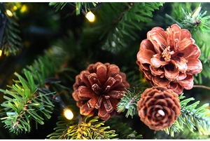 Close-up of mini pine cones with green branches and warm LED lights for DIY Christmas decor