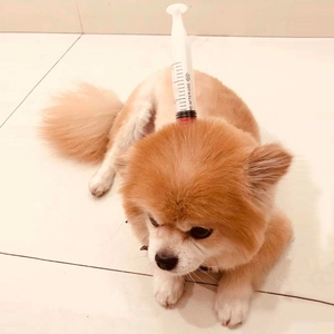 Close-up of Halloween prank headband showing a realistic medical syringe with fake blood