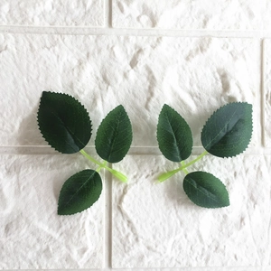 Artificial deep green rose leaves set with three-leaf design on a white background