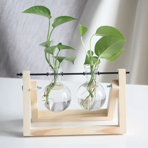 Close-up of two spherical glass vases with green plants on a wooden desktop stand