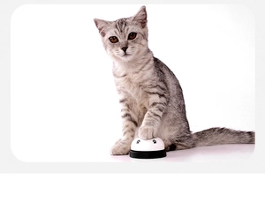 Action shot of a gray tabby cat paw pressing the bell with paw print design for pet training