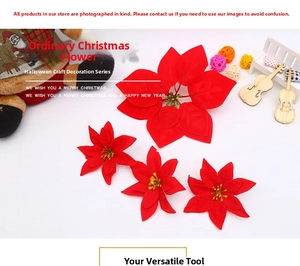 Close-up of red velvet Poinsettia flowers with yellow stamens for Christmas decor