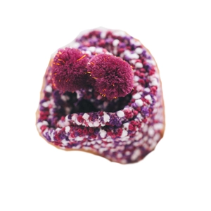 Fuzzy coral fleece mid-calf socks in purple and orange blend with cute pom-pom details