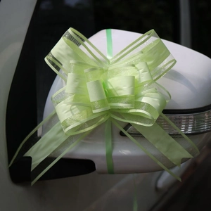 Fiocco in organza verde chiaro su specchietto auto bianco per decoro matrimonio