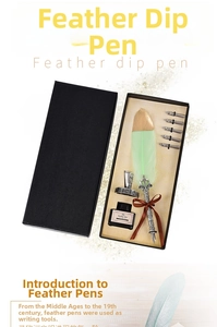 Macro detail of vintage green quill pen set with calligraphy nibs and ink in gift box