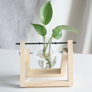 Close-up of glass bulb vase with green plant on a minimalist wooden frame support