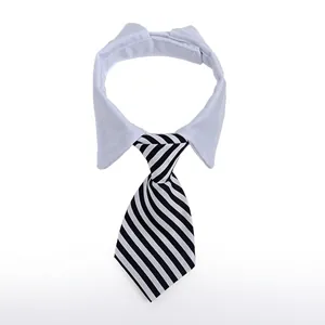 Formal pet collar with white shirt neck and black striped tie accessory for dogs