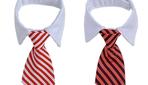 Detail showing red and black striped pet ties with white shirt collars for dogs
