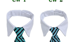 Detailed comparison of striped pet ties with adjustable collars in green and blue patterns