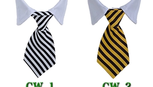 Close-up of black and white striped pet neckties with white shirt collars for dogs and cats