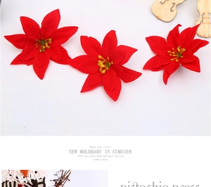 Detailed view of red velvet poinsettia flower heads with lifelike yellow stamens