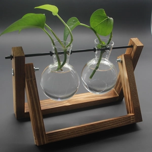 Creative hydroponic glass plant terrarium with dual bulb vases on a vintage wood stand