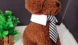 Detail of pet formal black and white striped necktie with a white shirt collar accessory