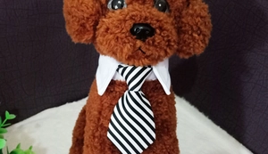 Detail of pet shirt collar with black and white striped tie on a plush dog model
