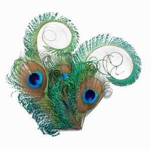 Macro shot of natural peacock feathers with vibrant blue and green eye patterns for hair accessories