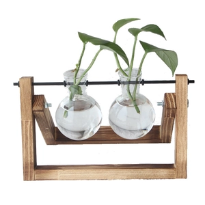 Modern wooden frame hydroponic plant vase with two clear glass bulbs on white background