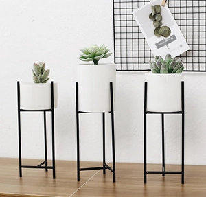 Vasi in ceramica bianca per piante grasse su supporti in metallo nero per arredo casa