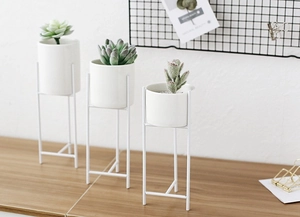 Tre vasi in ceramica bianca per piante grasse su alti supporti in ferro in stile nordico